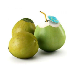 Coconut Big Size  3 Pieces