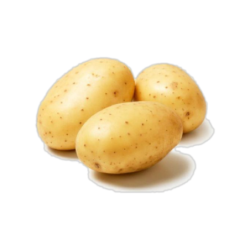 Potato Big  10 kg