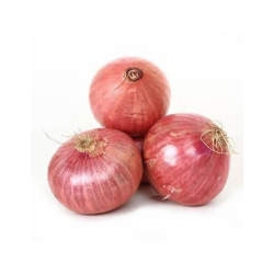 Onion (Medium) 20 Kg