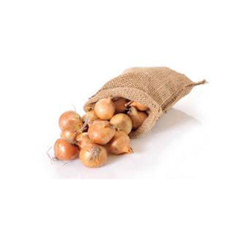 Onion Medium  20 kg Sack