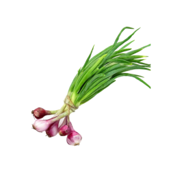 Spring Onion  250 g Bunch