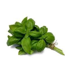 Basil  100 g