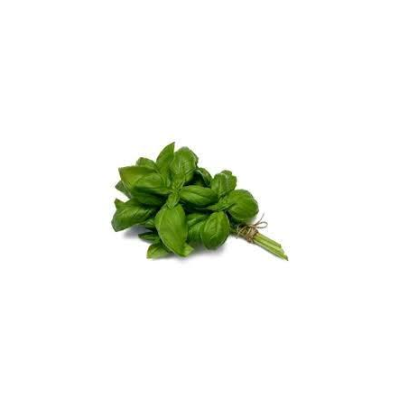 Basil  100 g