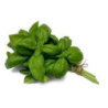 Basil  100 g