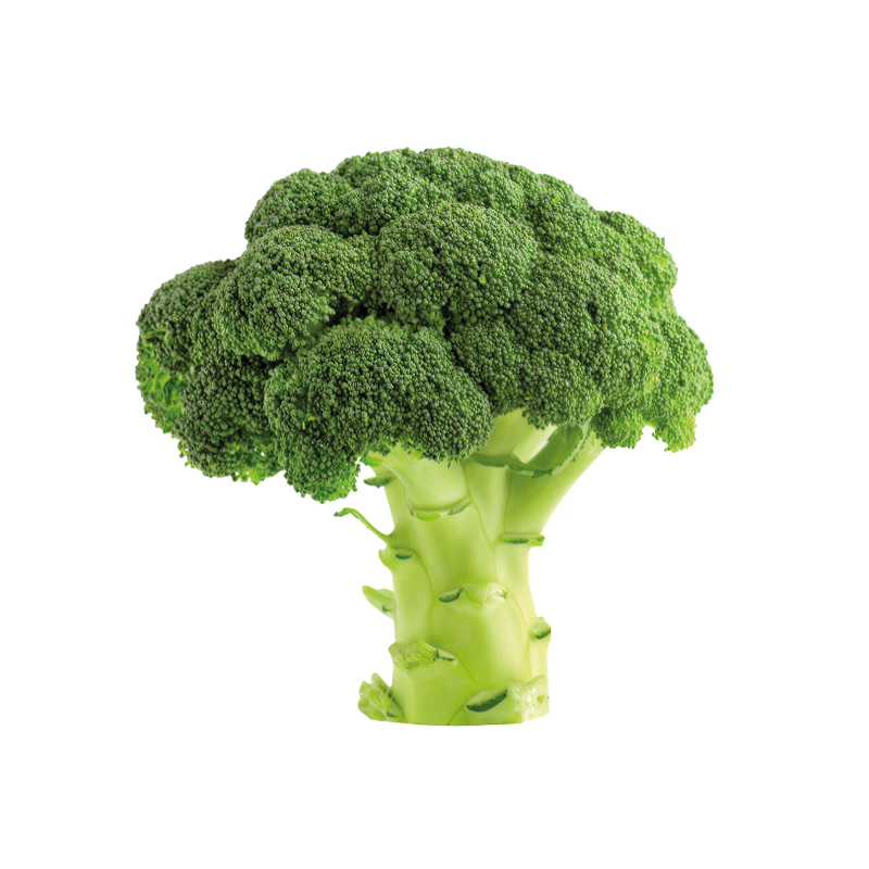 Broccoli