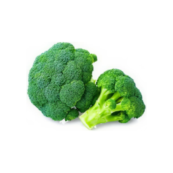 Broccoli (Big Size) 1 Pc