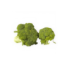 Broccoli (Mix Size) 1 Kg