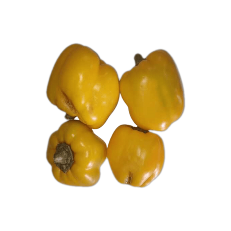 Yellow Capsicum (Mix Size) 500 gm