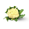 Cauliflower (Big Size)  1 Piece