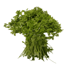 Coriander Leaves (Kothmir) 1 Kg
