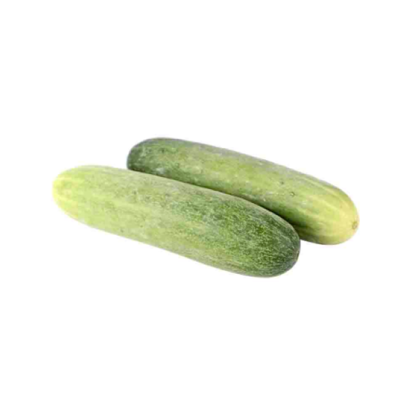 Indian Cucumber (Big Size ) 1 Kg