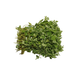Fresh Fenugreek (Methi) 500 gm