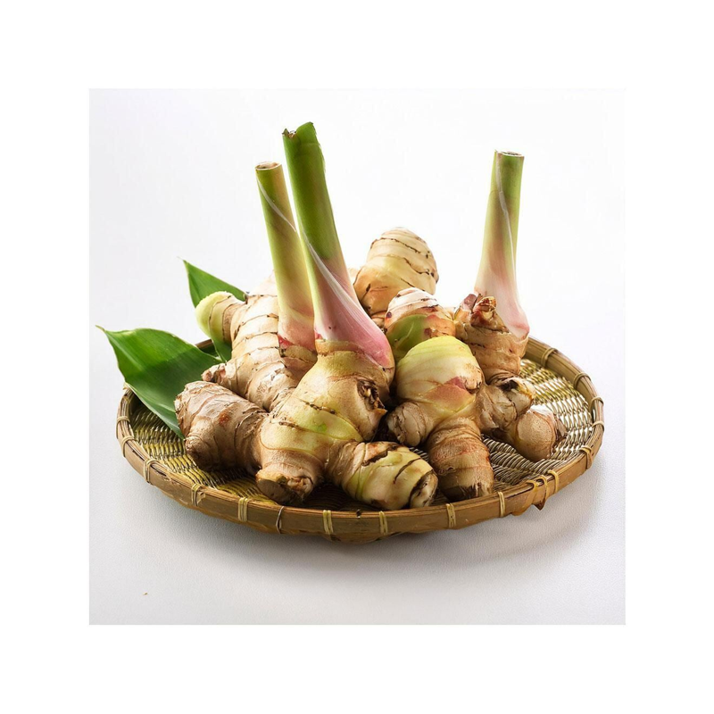 Thai Ginger (Galangal)  250 g pack