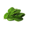 Kaffir Lime Leaves 100 gm