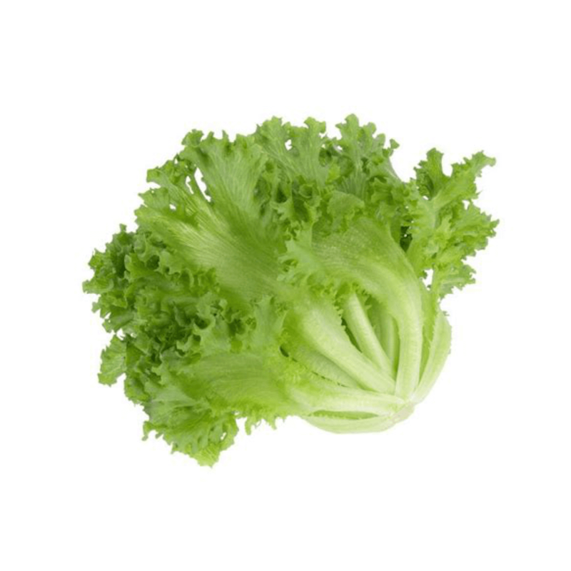 Lettuce Iceberg (200  500 gm) 1 Pc