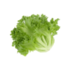Lettuce Iceberg (200  500 gm) 1 Pc