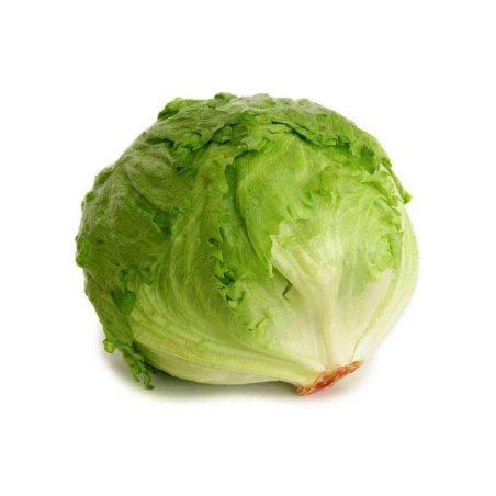 Lettuce Iceberg 1 Kg
