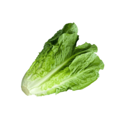 Lettuce Romain 250 gm