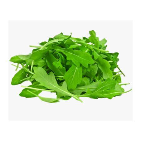 Roquette Lettuce (Arugula)