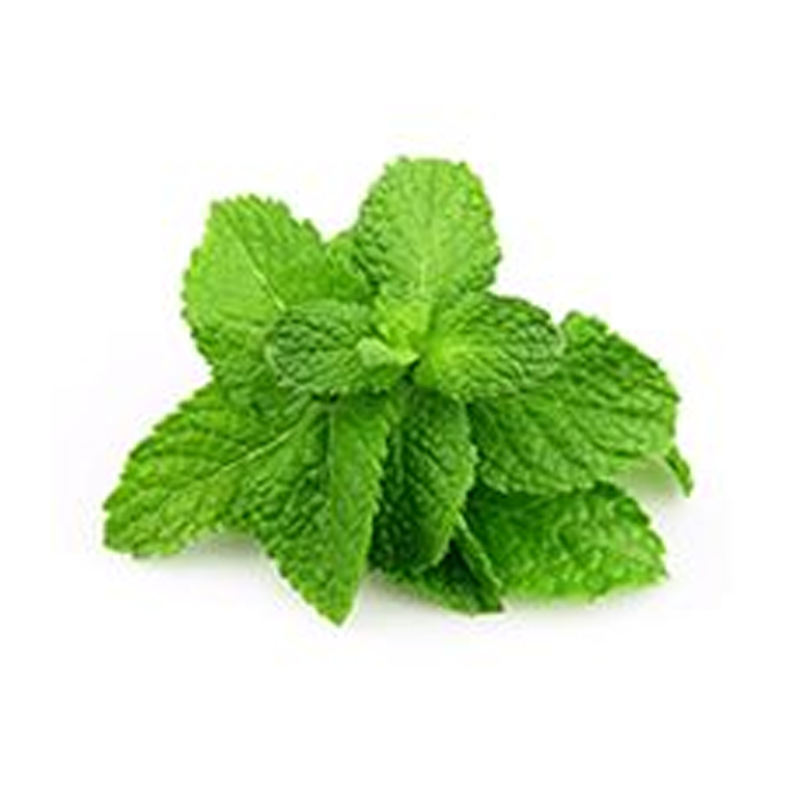 Mint Leaves (Pudina) 250 gm