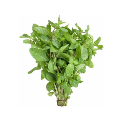Mint Leaves  250 g Bunch
