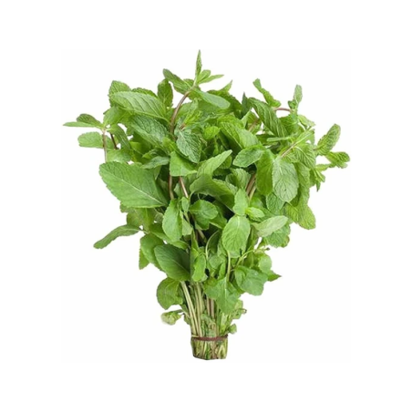 Mint Leaves  250 g Bunch