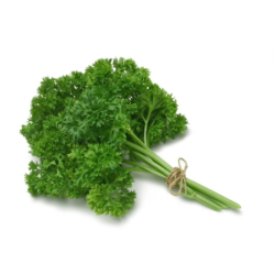 Parsley Curly 100 gm