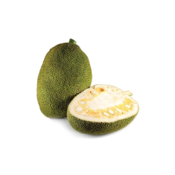Raw Jackfruit 1 Kg