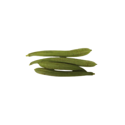 Ridge Gourd (Dodka) 1 Kg