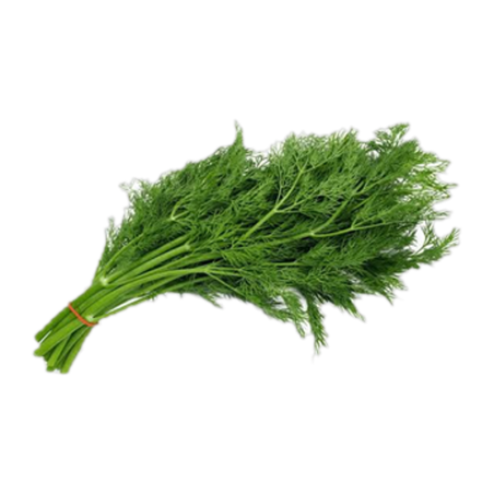 Suva Dill Leaves 200 gm