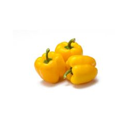 Capsicum Yellow (Big Size)