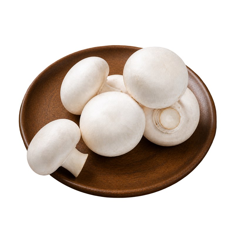 Button Mushroom 200 gm | Wholesale Supply | Delidel India