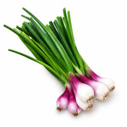 Spring Onion 250 gm | Fresh Spring Onions for Culinary Use | Delidel India