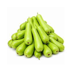 Bottle Gourd/Lauki 5 Kg | Wholesale Supply | Delidel India