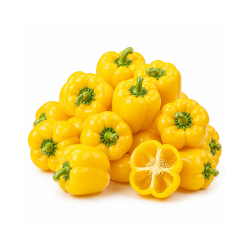 Yellow Capsicum 1 Kg | High Quality Vegetable Supply | Delidel India