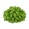 Basil Leaves 100 gm | Fresh Basil for Cooking and Recipes | Delidel India