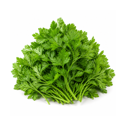 Coriander Leaves 1 Kg