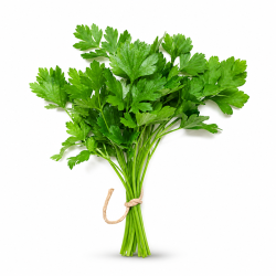 Coriander Leaves 250 gm Bunch