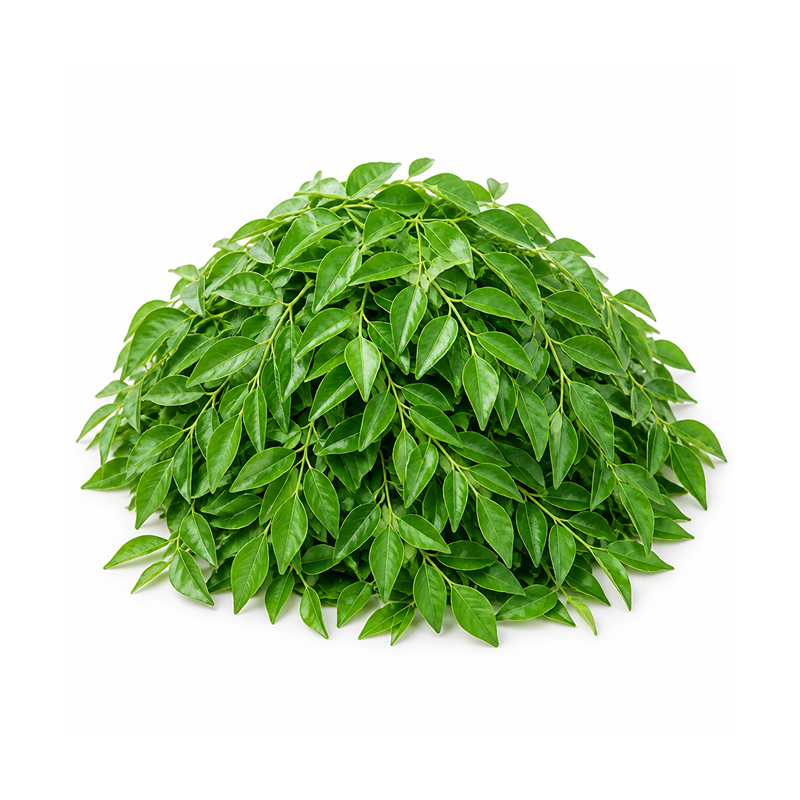 Curry Leaves 250 gm Bunch