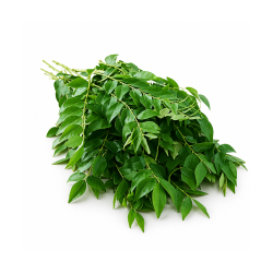 Curry Leaves (Kari Patta) 100 gm
