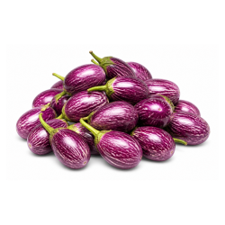Brinjal (Varikatri) 3 Kg | Wholesale Vegetable Supply | Delidel India