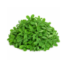 Fenugreek 500gm | Methi for Culinary Use | Delidel India