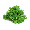 Methi Leaves 250 gm Bunch | Fresh Methi for Culinary Use | Delidel India
