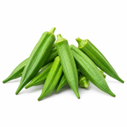 Okra Lady Finger 2 kg | Wholesale Vegetable Supply | Delidel India
