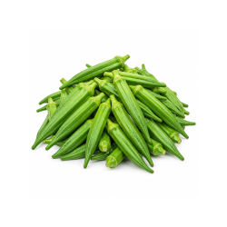 Okra Lady Finger 1 kg | High Quality Vegetable for Commercial Use | Delidel India