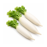 White Radish 1 kg | High|Quality Vegetable for Culinary Applications | Delidel India