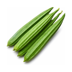 Ridge Gourd 2 kg | High|Quality Vegetable for Commercial Use Delidel India