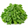 Green Amaranth 250 gm | Leafy Greens for Culinary Use | Delidel India