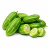 Ivy Gourd 1 kg - Coccinia Vegetable for Wholesale and Retail
