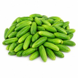 Ivy Gourd 1 kg - Coccinia Vegetable for Wholesale and Retail